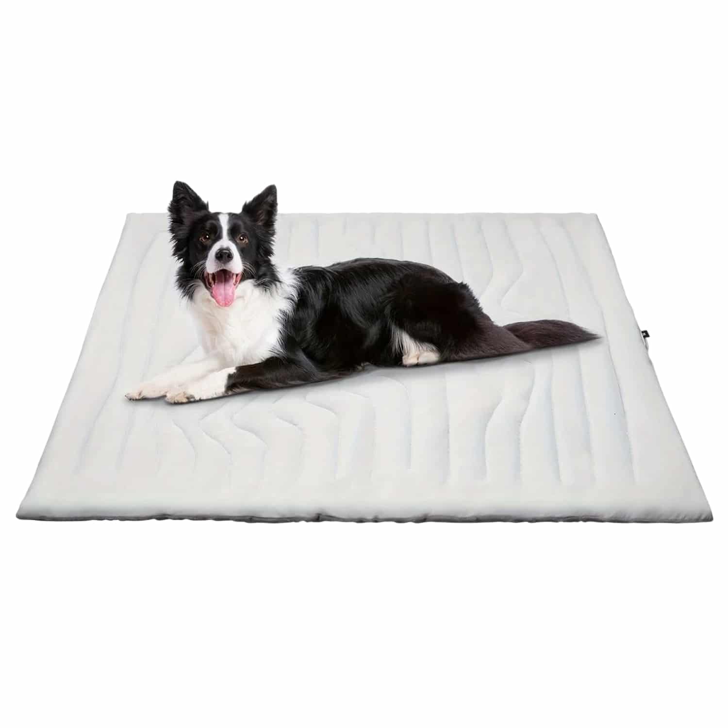 cooling-mat-for-dog-img-02